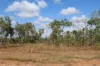 151 Mielang Road, Blackmore, NT 0822-Image