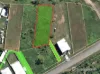151 Ocean View Drive, Bowen, Qld 4805-Image