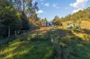 1515 Traralgon Creek Road, Koornalla, Vic 3844-Image