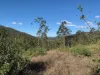 1517 Buaraba Creek Road, Buaraba, Qld 4311-Image