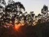 1517 Buaraba Creek Road, Buaraba, Qld 4311-Image