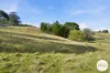 152 Pritchards Lane, Dysart, Tas 7030-Image
