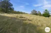 152 Pritchards Lane, Dysart, Tas 7030-Image