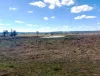 152 Staces Road, Uralla, NSW 2358-Image