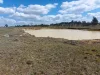 152 Staces Road, Uralla, NSW 2358-Image