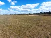 152 Staces Road, Uralla, NSW 2358-Image