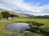 1529 Huon Highway, Lower Longley, Tas 7109