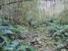 1529 Huon Highway, Lower Longley, Tas 7109-Image