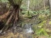 1529 Huon Highway, Lower Longley, Tas 7109-Image