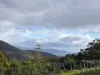 1529 Huon Highway, Lower Longley, Tas 7109-Image