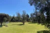 153 Atherton Drive, Venus Bay, Vic 3956-Image