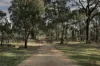 153 Gladstone Street, Lexton, Vic 3352-Image