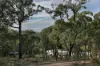 153 Gladstone Street, Lexton, Vic 3352-Image
