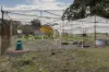 153 Gladstone Street, Lexton, Vic 3352-Image