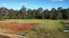 154 Premier Drive, Kingaroy, Qld 4610-Image