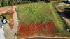 154 Premier Drive, Kingaroy, Qld 4610-Image