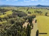 155 Forrester Road, Malanda, Qld 4885-Image