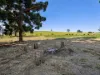 155 Forrester Road, Malanda, Qld 4885-Image