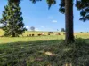 155 Forrester Road, Malanda, Qld 4885-Image