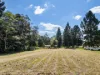155 Forrester Road, Malanda, Qld 4885-Image