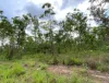 155 Produce Road, Humpty Doo, NT 0836-Image