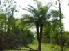 155 Produce Road, Humpty Doo, NT 0836-Image