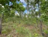 155 Produce Road, Humpty Doo, NT 0836-Image