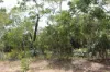 155 Serrata Road, Dundee Downs, NT 0840-Image