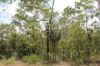 155 Serrata Road, Dundee Downs, NT 0840-Image