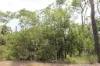 155 Serrata Road, Dundee Downs, NT 0840-Image