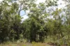 155 Serrata Road, Dundee Downs, NT 0840-Image