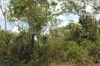 155 Serrata Road, Dundee Downs, NT 0840-Image