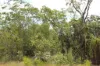 155 Serrata Road, Dundee Downs, NT 0840-Image