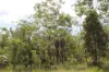 155 Serrata Road, Dundee Downs, NT 0840-Image