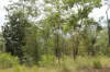 155 Serrata Road, Dundee Downs, NT 0840-Image