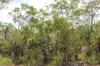155 Serrata Road, Dundee Downs, NT 0840-Image