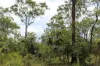 155 Serrata Road, Dundee Downs, NT 0840-Image