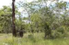 155 Serrata Road, Dundee Downs, NT 0840-Image