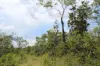 155 Serrata Road, Dundee Downs, NT 0840-Image