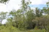 155 Serrata Road, Dundee Downs, NT 0840-Image