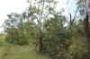 155 Serrata Road, Dundee Downs, NT 0840-Image