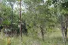 155 Serrata Road, Dundee Downs, NT 0840-Image