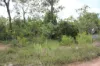 155 Serrata Road, Dundee Downs, NT 0840-Image