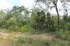 155 Serrata Road, Dundee Downs, NT 0840-Image