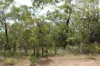 155 Serrata Road, Dundee Downs, NT 0840-Image