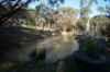 155 Shuter Avenue, Greendale, Vic 3341-Image