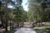 155 Shuter Avenue, Greendale, Vic 3341-Image