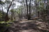 155 Shuter Avenue, Greendale, Vic 3341-Image