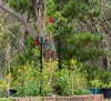 155 Shuter Avenue, Greendale, Vic 3341-Image