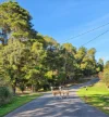 155 Shuter Avenue, Greendale, Vic 3341-Image